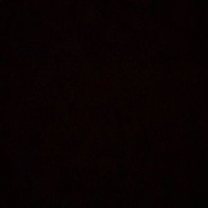 Meet your Posher, Moises